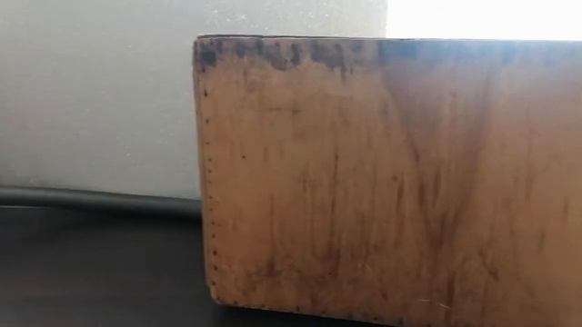 Пчелы в дупле