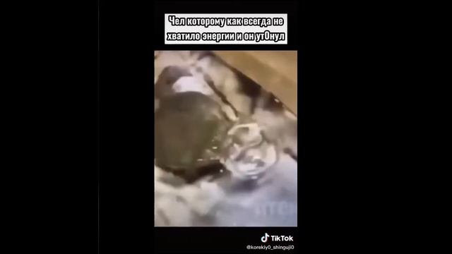 Genshin impact~ Подборка видео~ из tiktok #1 смотреть онлайн