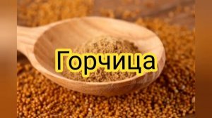 Чего боится колорадский жук?