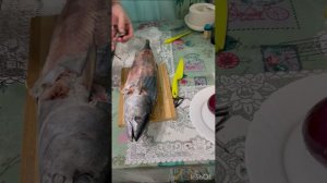 Строганина из Пеламиды . Рецепт снят в Калининграде. Фирменное блюдо в Калининграде