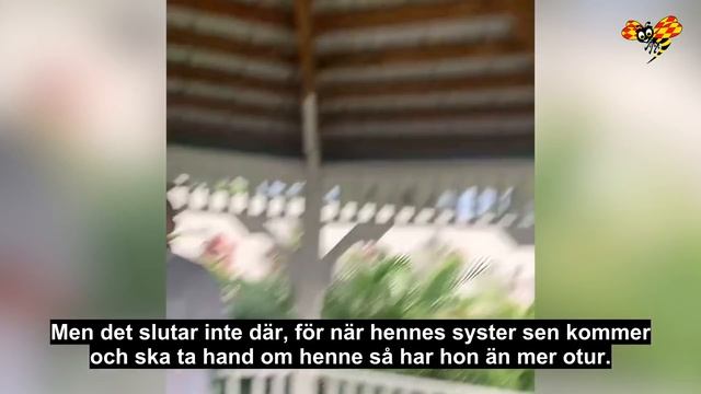 Bruden spyr, blir nerbajsad och svimmar på bröllop смотреть онлайн