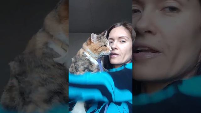 Кошечка Малютка ищет ДОМ. СПб(1) смотреть онлайн
