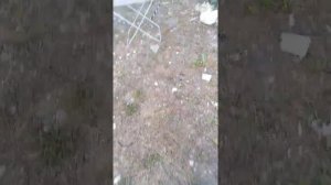 как правильно развести раундап часть 2, последние