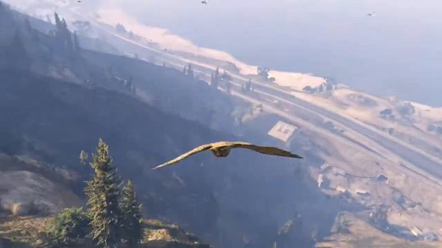 Новые фичи в GTA5 #25:Цветки Лофофоры 25-й цветок (орёл). смотреть онлайн