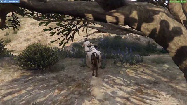 Играем в GTA 5 - Лофофоры: Часть 3 (19-27) смотреть онлайн