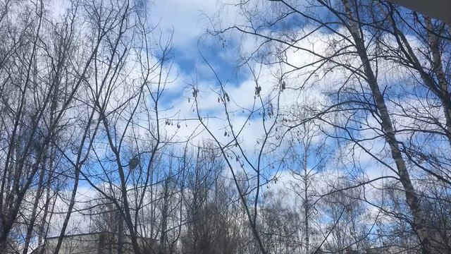 "Ванга-ванга" смотреть онлайн