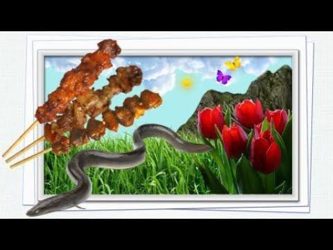 Хуньчунь / Шашлычка за городом / 10.05.2024