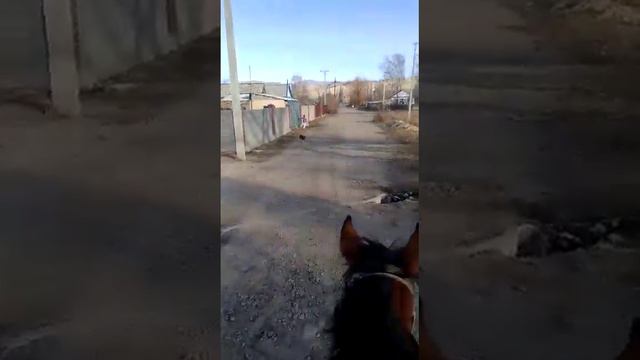 Бурулдай улица новая от Беляндра 2020.г смотреть онлайн