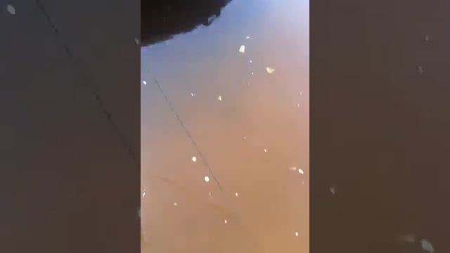 Йошкар-Ола-Боровская пойман сом на квок смотреть онлайн
