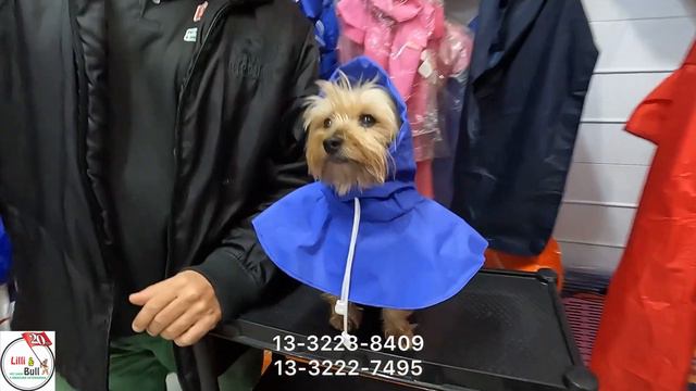 Pet Shop Lilli & Bull смотреть онлайн