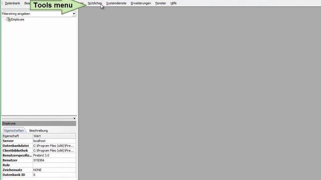 IBExpert Quick Tip: Change the IBExpert interface language смотреть онлайн