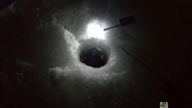 ночная рыбалка на яузе леща, плотвы и щуки