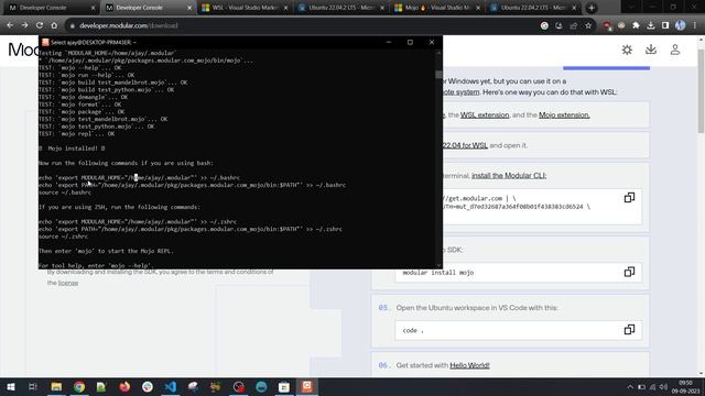How To Install Mojo Programming Language смотреть онлайн