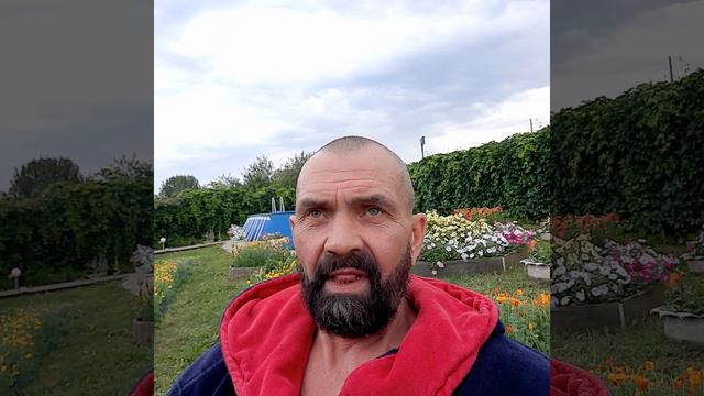 Дебют. Знакомство с миром смотреть онлайн