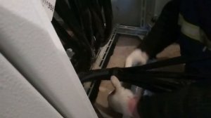 Обучающее видео: монтаж концевой кабельной муфты КВттп(150-240) на кабель 0,4 кВ, АВБбШв 4*185