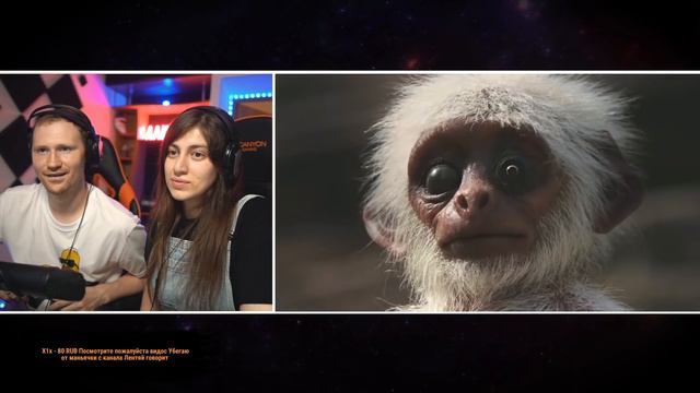 Худшие Традиции Животных, Которые Заставят Тебя Грустить |РЕАКЦИЯ на WATOP смотреть онлайн