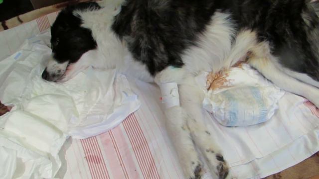 MVI 6610 смотреть онлайн