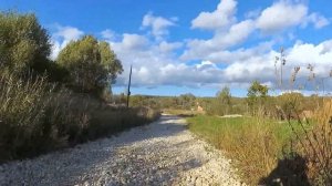 Киржач-20 2/4. Корытово-Власьево-Халино-Архангельский погост/Митино-Фетиново-Воскресенское-Сухарево