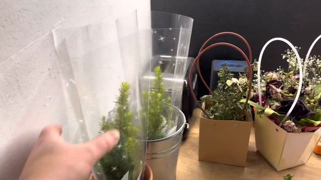 6 декабря 2022 г. смотреть онлайн