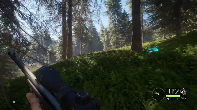 TheHunter Call of the Wild ОХОТА НА ЗУБРА # 40 смотреть онлайн