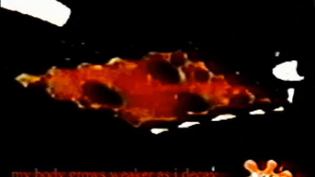 07/25/2005 смотреть онлайн