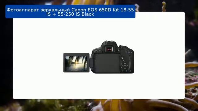 Фотоаппарат зеркальный Canon EOS 650D Kit 18-55 IS + 55-250 IS Black обзор и отзыв смотреть онлайн