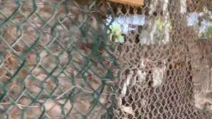 Fanar Hotel & Residences Salalah Beach Oman