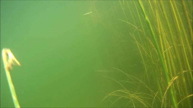 Шерубай Нура 12 07 2015. Снимаем старые сети. смотреть онлайн