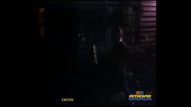 Cactus 1986