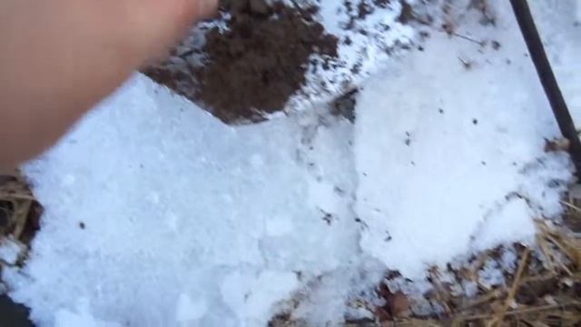 ГовноКоп смотреть онлайн