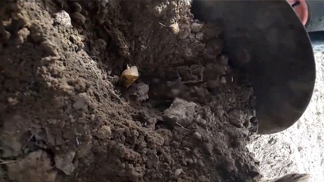 Посадка картошки мотоблоком смотреть онлайн