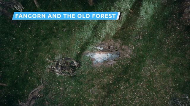 Iconic Middle-Earth Spots We'll Probably See In The LOTR Prequel смотреть онлайн