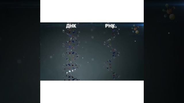 Дауытова Толкын Ауезхановна, преподаватель химии. Тема урока: Нуклеиновые кислоты. смотреть онлайн