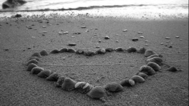 Pimp Schwab-1000 Nights