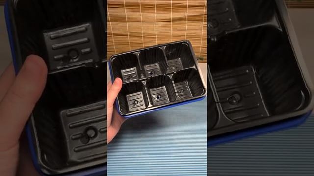 Укореняю листья и розетки фиалки #shorts #фиалка #сенполия #saintpaulia смотреть онлайн