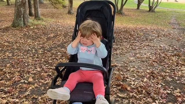 Даня вредина! Почему малыш не слушается? смотреть онлайн