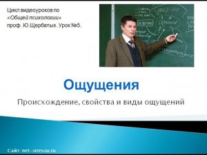 Ощущение (Психология ощущений - лекции профессора  Щербатых