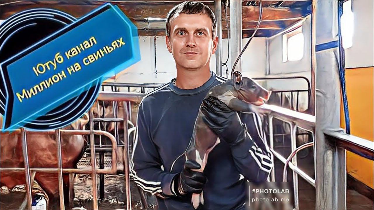 Тёплые полы в свинарнике. Купируем клыки и хвостики поросятам. смотреть онлайн