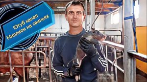 Тёплые полы в свинарнике. Купируем клыки и хвостики поросятам.