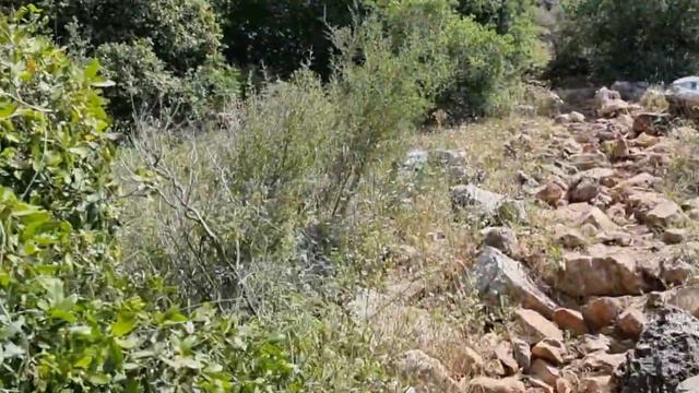 Nahal Mearot.Nature Preserve.Blue and white route.Нахаль Меарот.Сине белый маршрут.שמורת נחל מערות смотреть онлайн