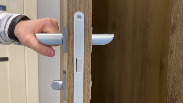 Обзор дверей Profildoors (моноблок) смотреть онлайн