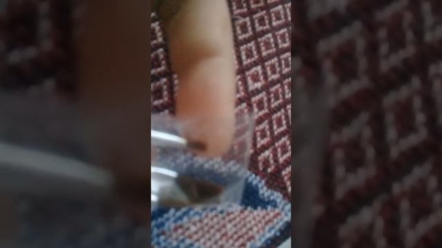 Картина по номерам из светофора смотреть онлайн