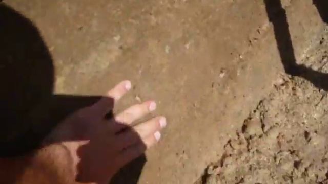 Дом из опилкобетона вольск