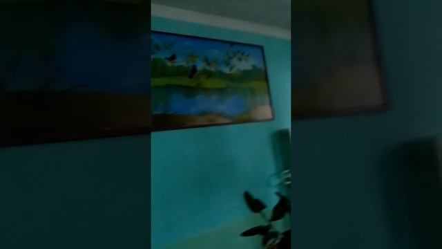 Я в школе пришла на кружок рисования ???? смотреть онлайн