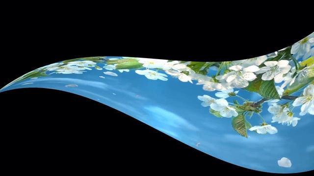 Футаж"Декоративная лента" смотреть онлайн