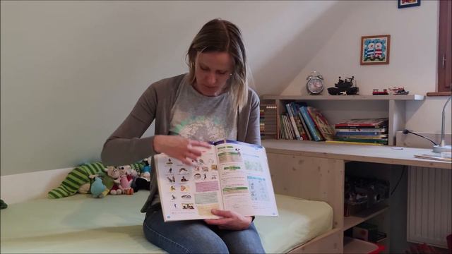 Project lesson 6 смотреть онлайн