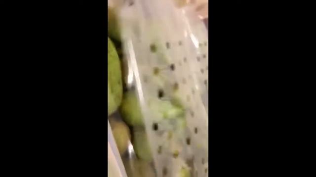 Груша конференция смотреть онлайн