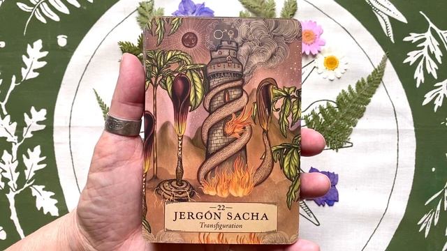 "The Herbal Astrology Oracle" - Deck Walkthrough смотреть онлайн