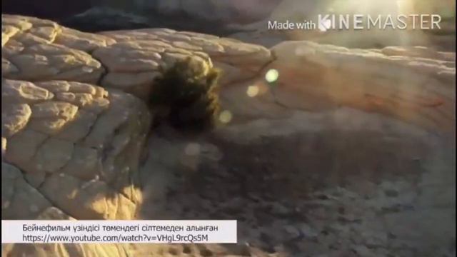 3 класс Математика Тақырыбы: 1000 көлеміндегі сандарды қосу және азайту алгоритмдері смотреть онлайн