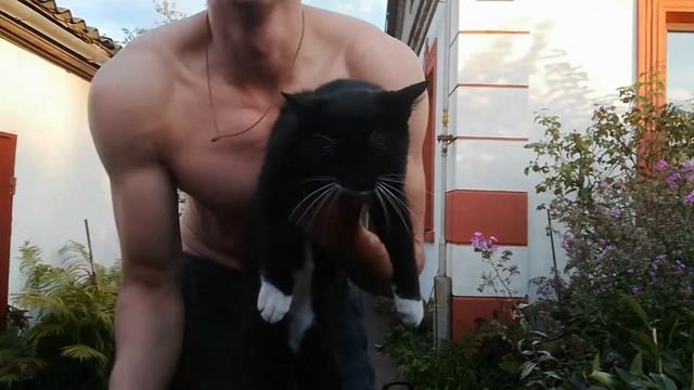 Как Прокачать МЫШЦЫ За 20 МИНУТ смотреть онлайн